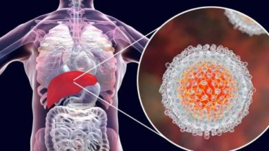 Liver cancer ka karan hai viral Hepatitis